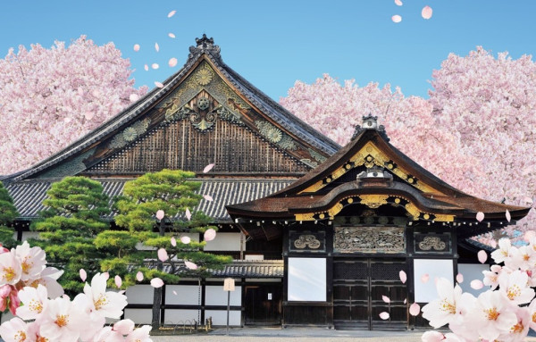 二條城櫻花祭(圖片來源:nijo-jocastle.city.kyoto.lg.jp) 關西櫻花祭2026|大阪京都8大必去賞櫻景點推薦!附活動日期+交通地址
