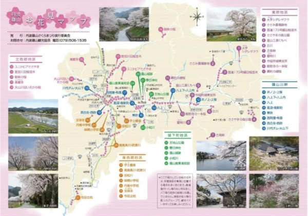 丹波篠山櫻花祭 (圖片來源:tourism.sasayama.jp) 關西櫻花祭2026|大阪京都8大必去賞櫻景點推薦!附活動日期+交通地址