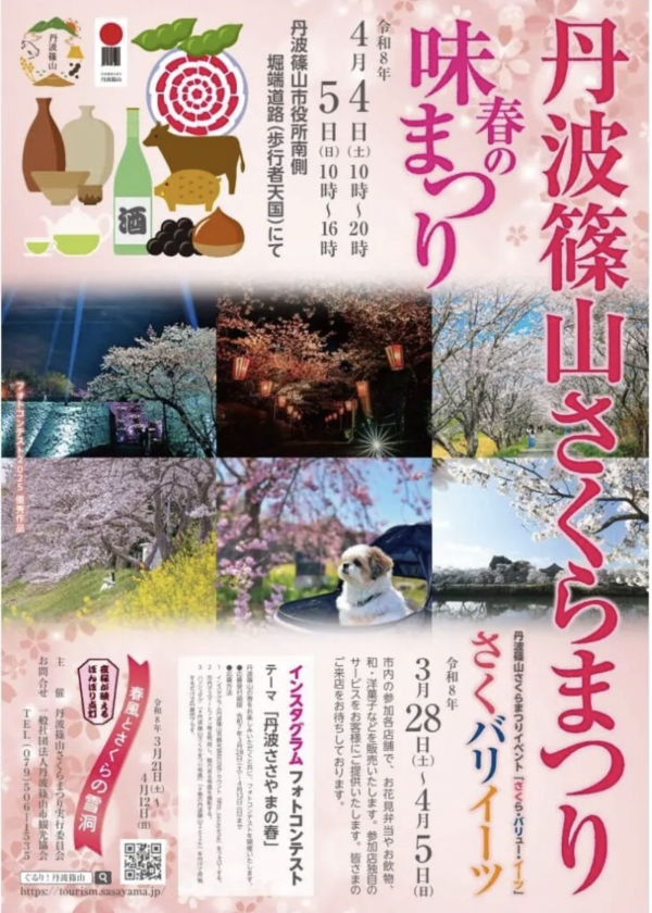 丹波篠山櫻花祭 (圖片來源:tourism.sasayama.jp) 關西櫻花祭2026|大阪京都8大必去賞櫻景點推薦!附活動日期+交通地址