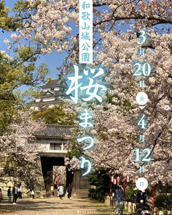 和歌山城公園櫻花祭 (圖片來源:Instagram@wakayamajo_official) 關西櫻花祭2026|大阪京都8大必去賞櫻景點推薦!附活動日期+交通地址