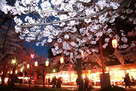 (圖片來源:ロカルわかやま) 關西櫻花祭2026|大阪京都8大必去賞櫻景點推薦!附活動日期+交通地址