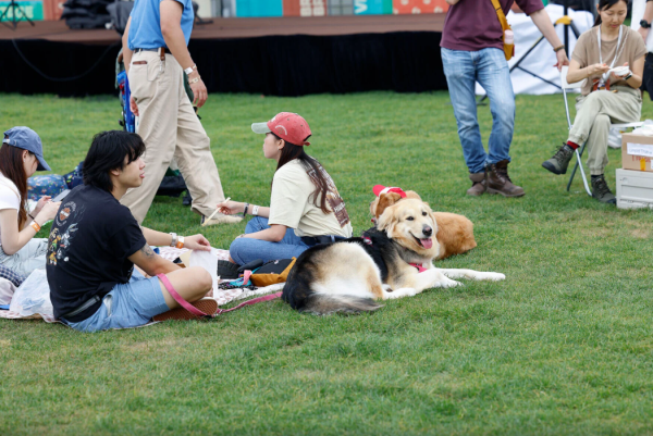 香港咖啡節2026（相片由相關機構提供）