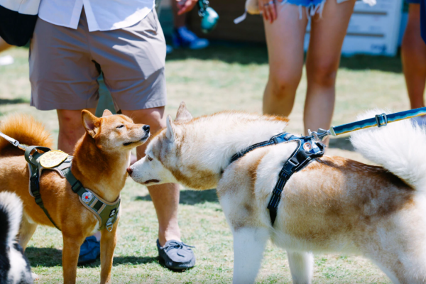 香港咖啡節2026（相片由相關機構提供）
