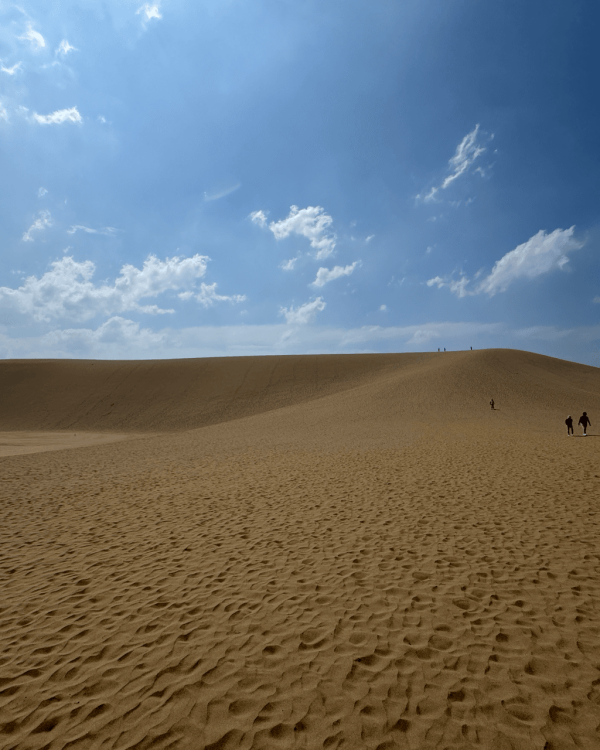 【日本自由行2026】日本深度遊小眾景點8選 此生必去沙丘/世界三大漩渦/宮崎駿動畫取景地！ 