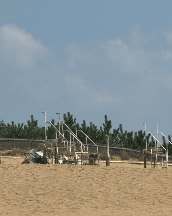 【日本自由行2026】日本深度遊小眾景點8選 此生必去沙丘/世界三大漩渦/宮崎駿動畫取景地！ 