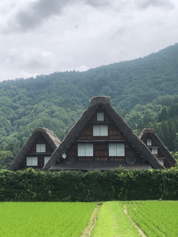 【日本自由行2026】日本深度遊小眾景點8選 此生必去沙丘/世界三大漩渦/宮崎駿動畫取景地！ 