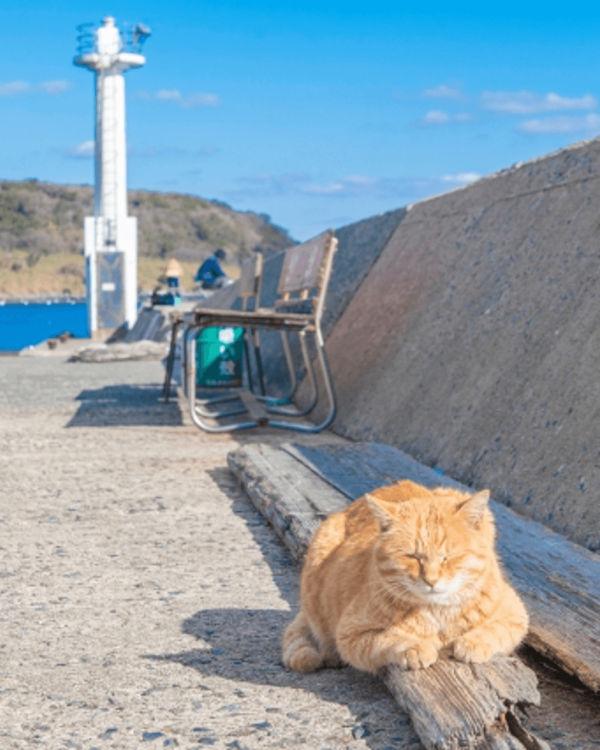 【日本自由行2026】日本深度遊小眾景點8選 此生必去沙丘/世界三大漩渦/宮崎駿動畫取景地！ 