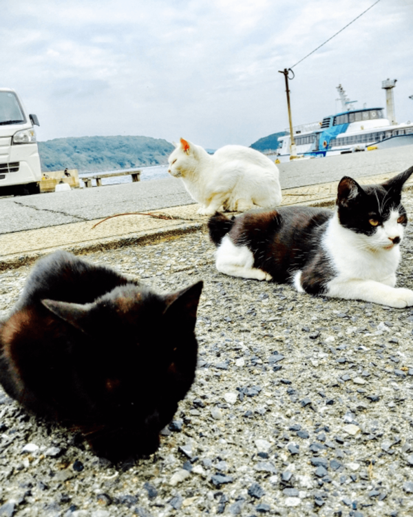 【日本自由行2026】日本深度遊小眾景點8選 此生必去沙丘/世界三大漩渦/宮崎駿動畫取景地！ 