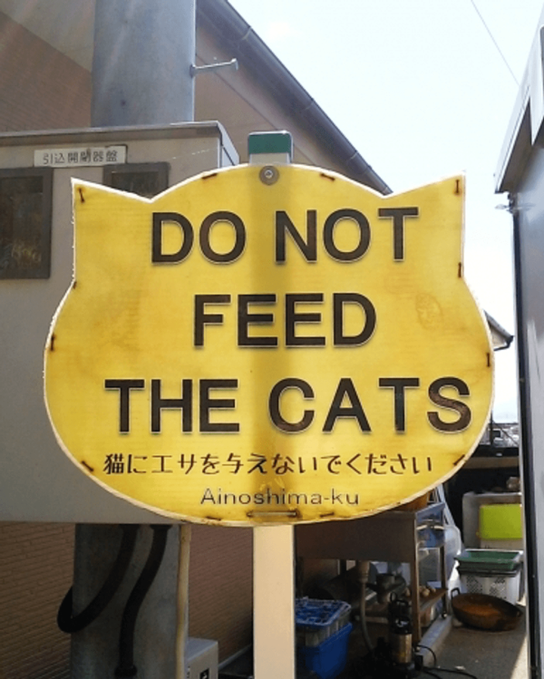 【日本自由行2026】日本深度遊小眾景點8選 此生必去沙丘/世界三大漩渦/宮崎駿動畫取景地！ 