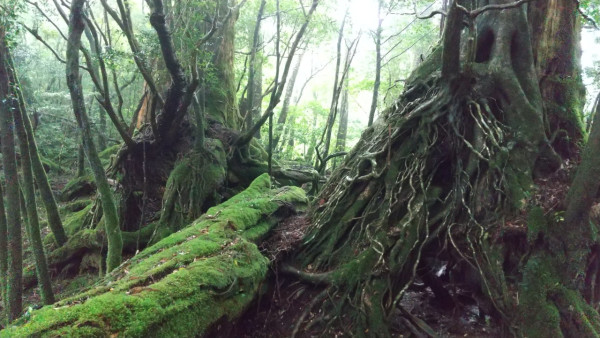 【日本自由行2026】日本深度遊小眾景點8選 此生必去沙丘/世界三大漩渦/宮崎駿動畫取景地！ 