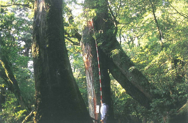 【日本自由行2026】日本深度遊小眾景點8選 此生必去沙丘/世界三大漩渦/宮崎駿動畫取景地！ 