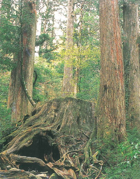 【日本自由行2026】日本深度遊小眾景點8選 此生必去沙丘/世界三大漩渦/宮崎駿動畫取景地！ 