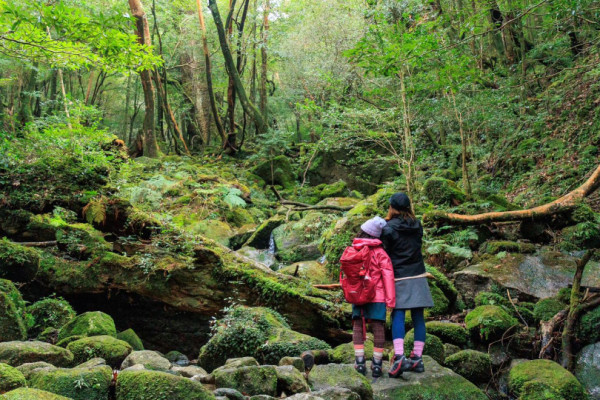 【日本自由行2026】日本深度遊小眾景點8選 此生必去沙丘/世界三大漩渦/宮崎駿動畫取景地！ 