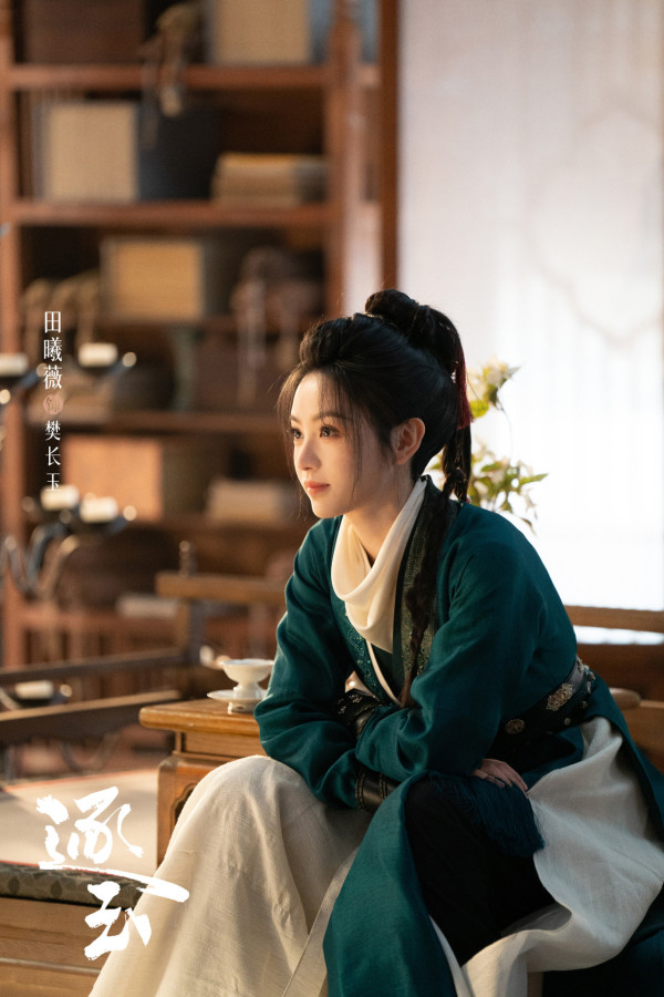 逐玉線上看|Netflix逐玉更新時間+追劇日曆!張凌赫田曦薇CP感爆紅收視衝冠