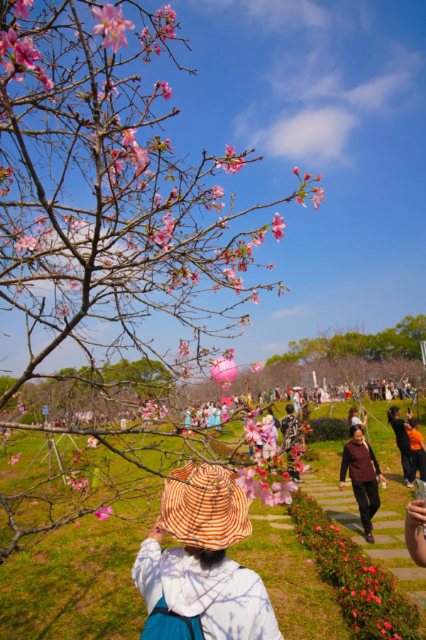 照片來源：小紅書@岗城文商旅