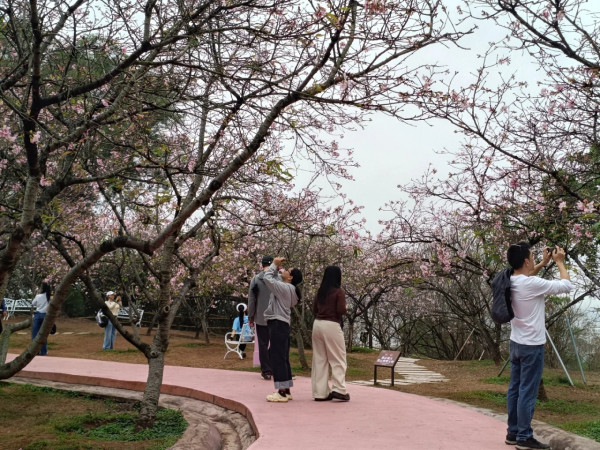 照片來源：小紅書@岗城文商旅
