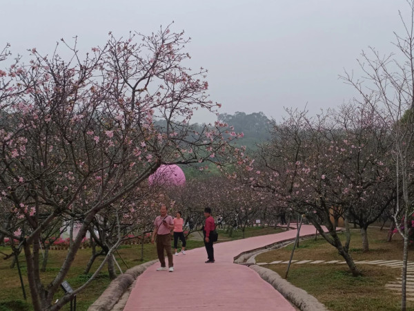 照片來源：小紅書@岗城文商旅