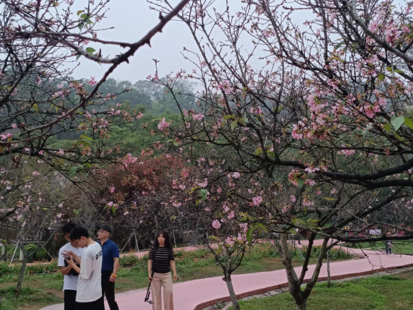 照片來源：小紅書@岗城文商旅