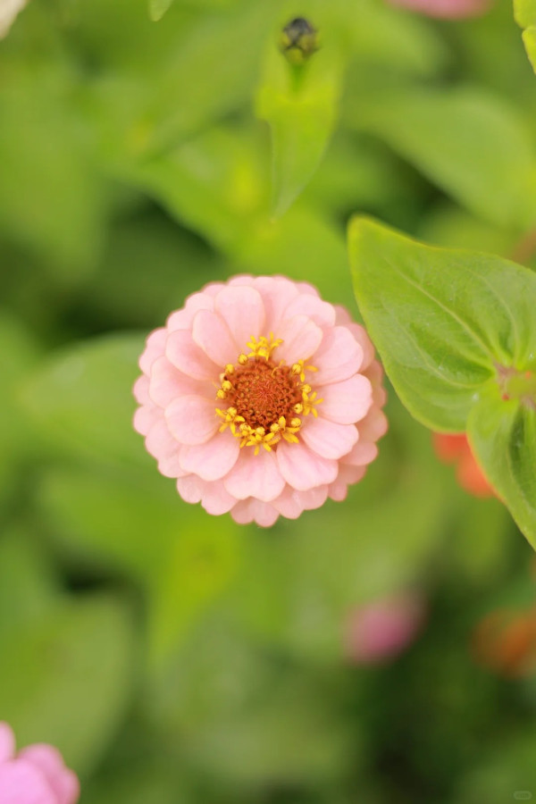 照片來源：小紅書@Caesar