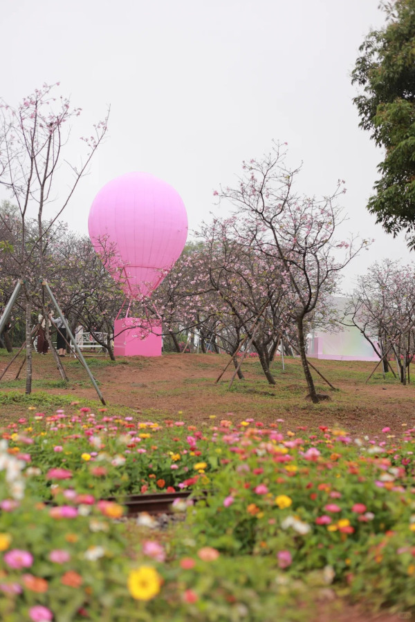 照片來源：小紅書@Caesar