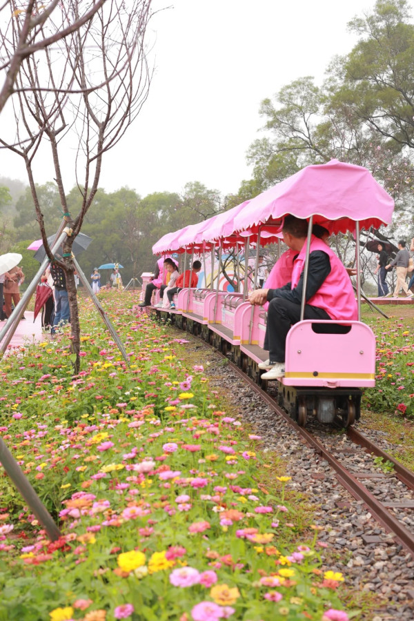 照片來源：小紅書@Caesar