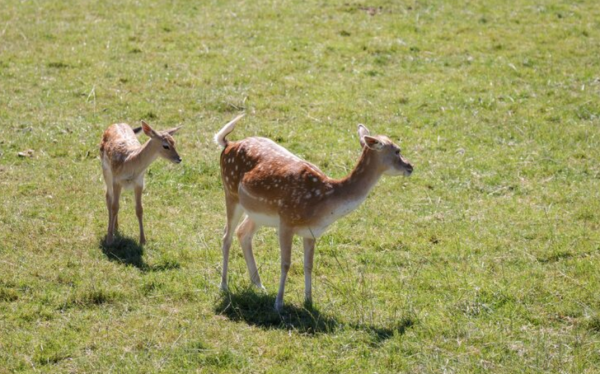 圖片來源:freepik 圖片來源:freepik