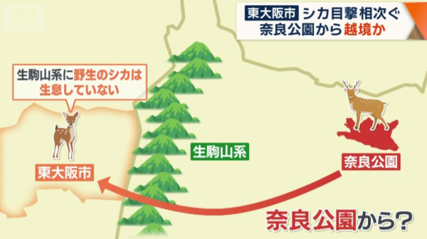 圖片來源:テレ朝NEWS - テレビ朝日 圖片來源:テレ朝NEWS - テレビ朝日