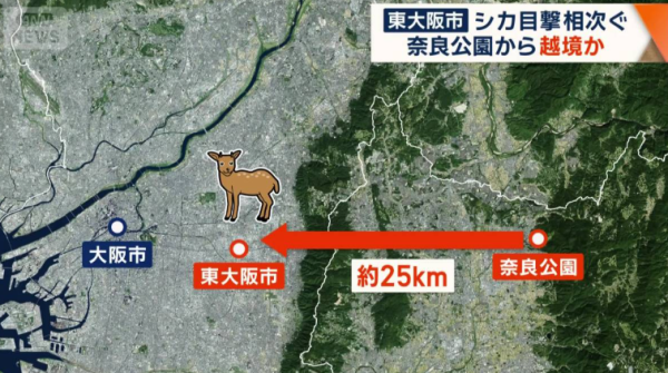 圖片來源:テレ朝NEWS - テレビ朝日 圖片來源:テレ朝NEWS - テレビ朝日
