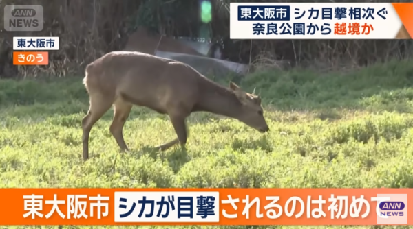 圖片來源:テレ朝NEWS - テレビ朝日 圖片來源:テレ朝NEWS - テレビ朝日