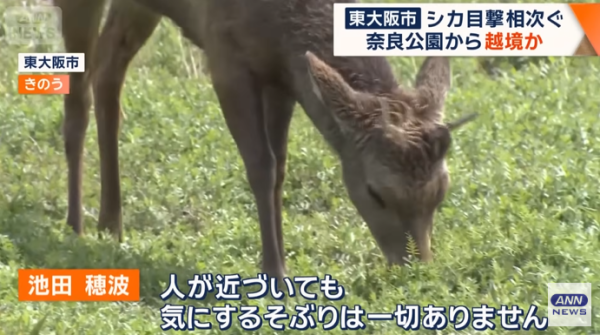 圖片來源:テレ朝NEWS - テレビ朝日 圖片來源:テレ朝NEWS - テレビ朝日