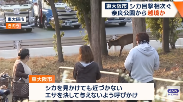 圖片來源:テレ朝NEWS - テレビ朝日 圖片來源:テレ朝NEWS - テレビ朝日