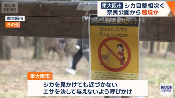 圖片來源:テレ朝NEWS - テレビ朝日 圖片來源:テレ朝NEWS - テレビ朝日