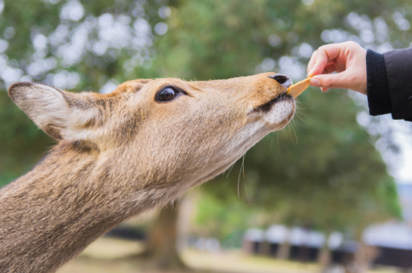 圖片來源:じゃらんnet 圖片來源:じゃらんnet