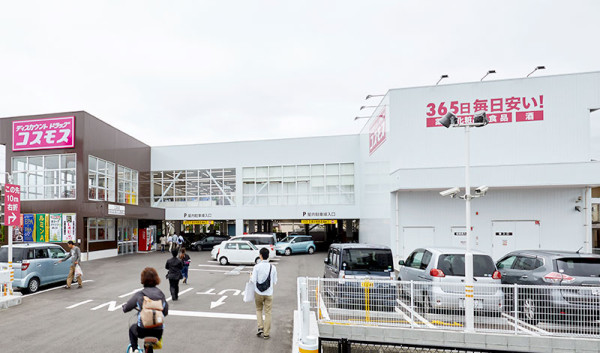 照片來源：日本Cosmos官方網站