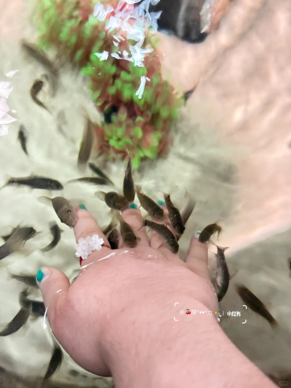 照片來源:小紅書@接ฅ^•ﻌ•^ฅ力 照片來源:小紅書@接ฅ^•ﻌ•^ฅ力