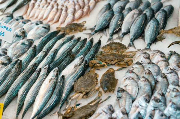 央視揭活魚運輸黑幕！「三無麻醉劑」混工業酒精恐傷肝致盲 附5大揀魚貼士