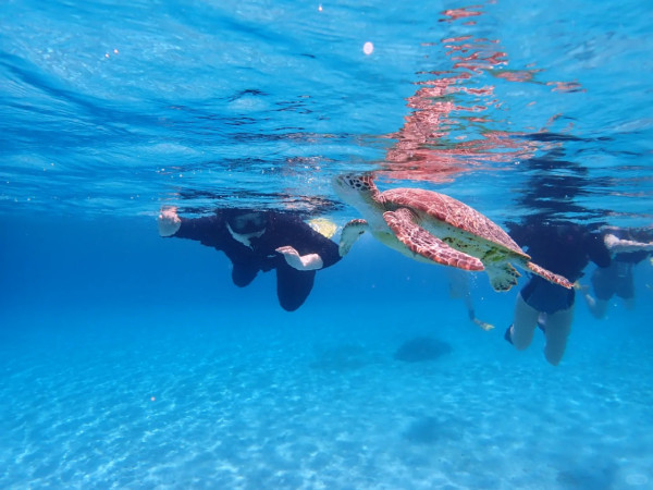 照片來源:小紅書@敲敲这碗糖酒粥 照片來源:小紅書@敲敲这碗糖酒粥