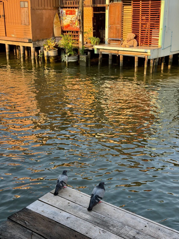 照片來源:小紅書@Summer202 照片來源:小紅書@Summer202