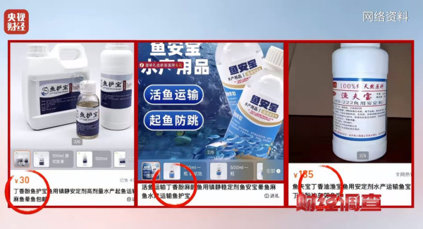 央視揭活魚運輸黑幕！「三無麻醉劑」混工業酒精恐傷肝致盲 附5大揀魚貼士