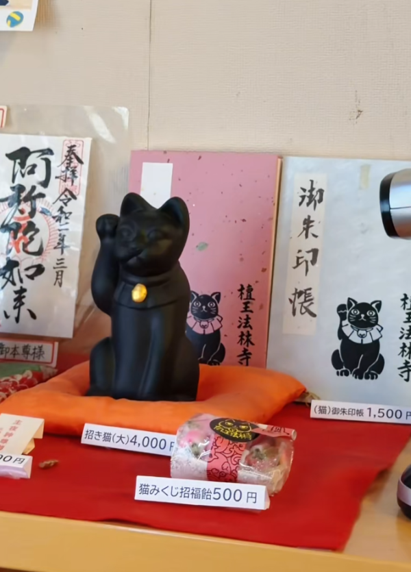 照片來源:小紅書@IR 照片來源:小紅書@IR