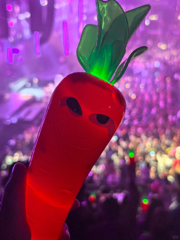 黎明演唱會2026｜黎明送粉絲紅蘿蔔手燈網民Like爆！天王哲學再現：冇得唔要