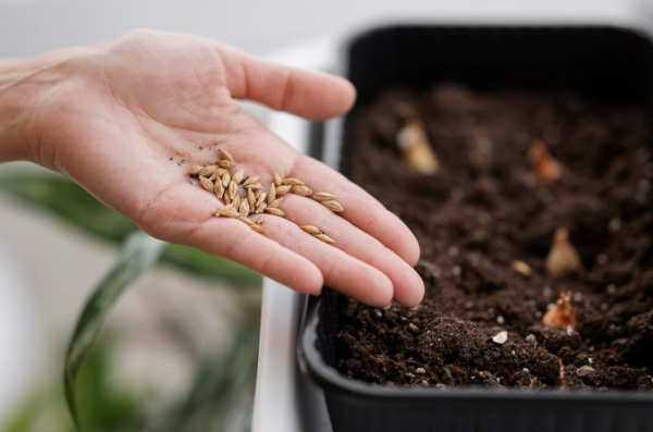 圖片來源：freepik