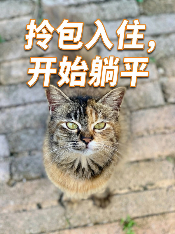 Gen Z躺平想退休？馬來西亞首間青年養老院引熱議！月費只需約HK,600包食宿 