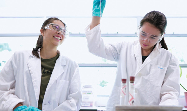 港島區國際學校︰英基學校協會學費（圖片來源︰英基學校協會）