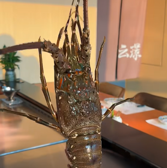 照片來源：小紅書@玩樂信號局