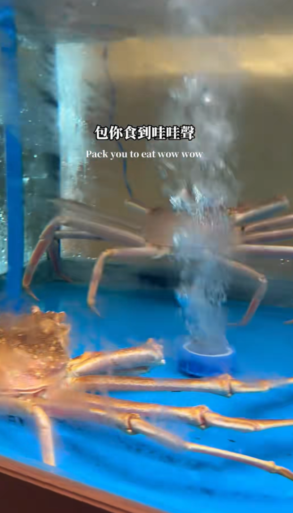 照片來源：小紅書@玩樂信號局