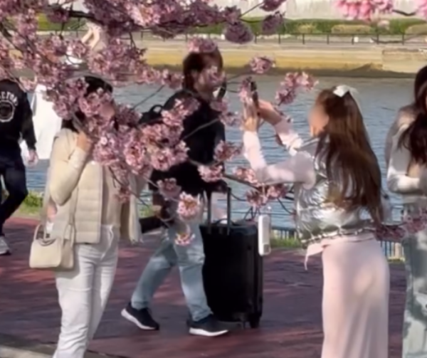 圖片來源：threads @mini.chu