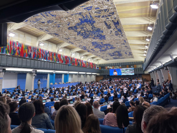 港島區國際學校︰蒙特梭利國際學校學費（圖片來源︰蒙特梭利國際學校）