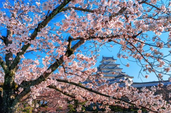 圖片來源：freepik