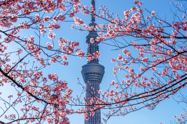 圖片來源：freepik